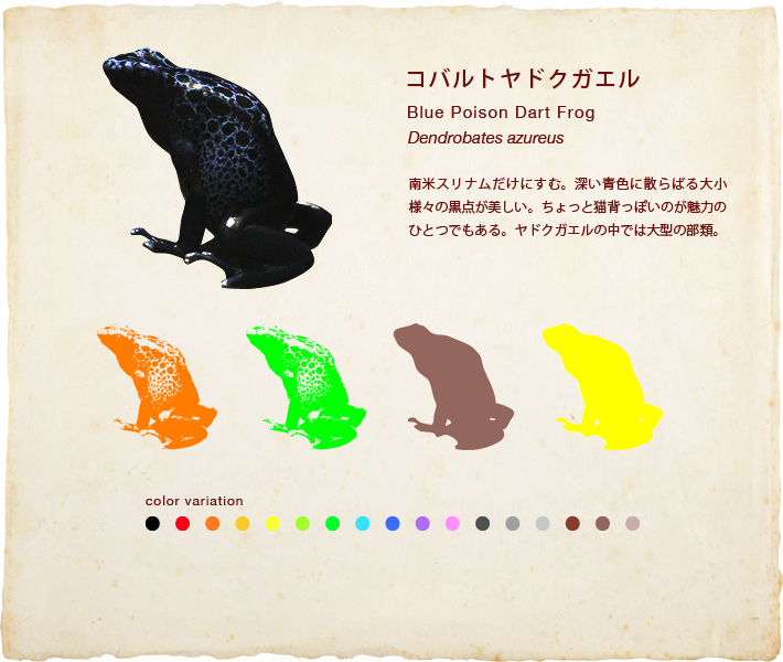 コバルトヤドクガエル