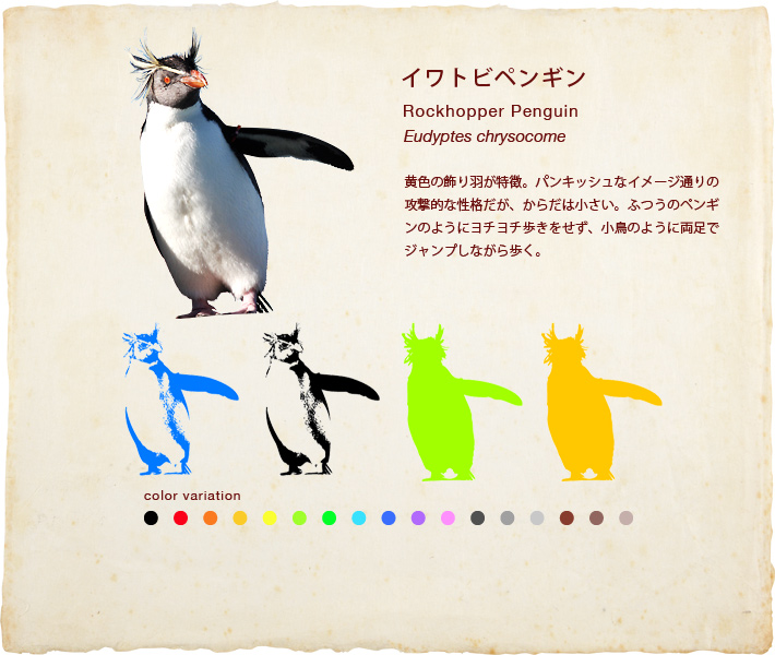 イワトビペンギン