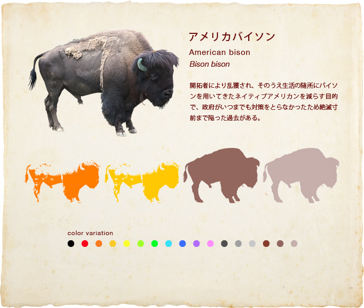 アメリカバイソン