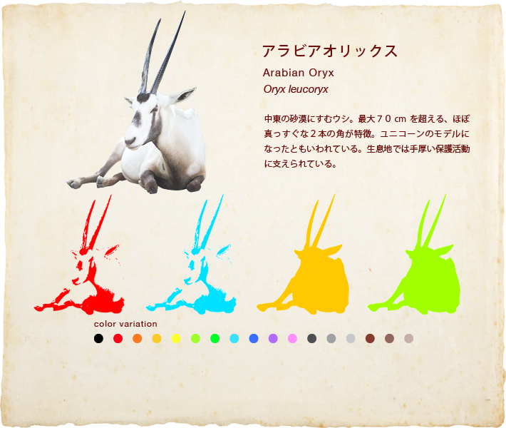 アラビアオリックス