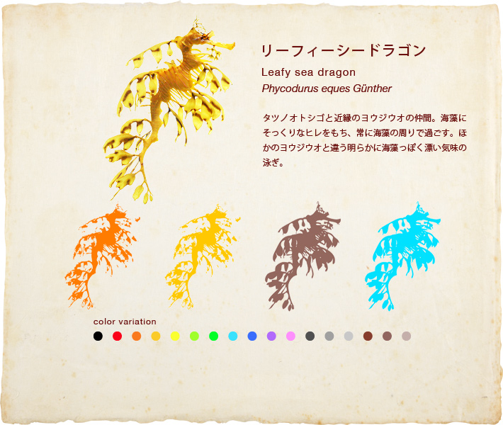 リーフィーシードラゴン