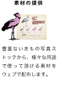 素材の提供