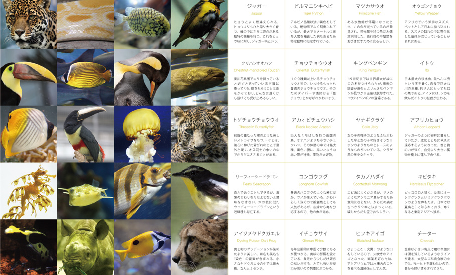 いきもの色図鑑