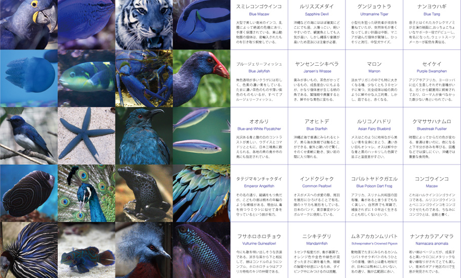 いきもの色図鑑