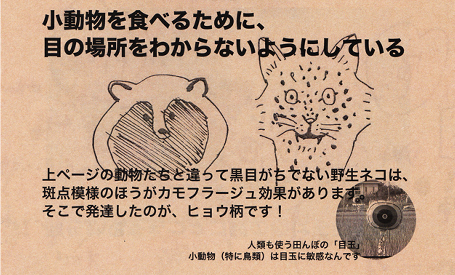 本当はおもしろいアニマル柄