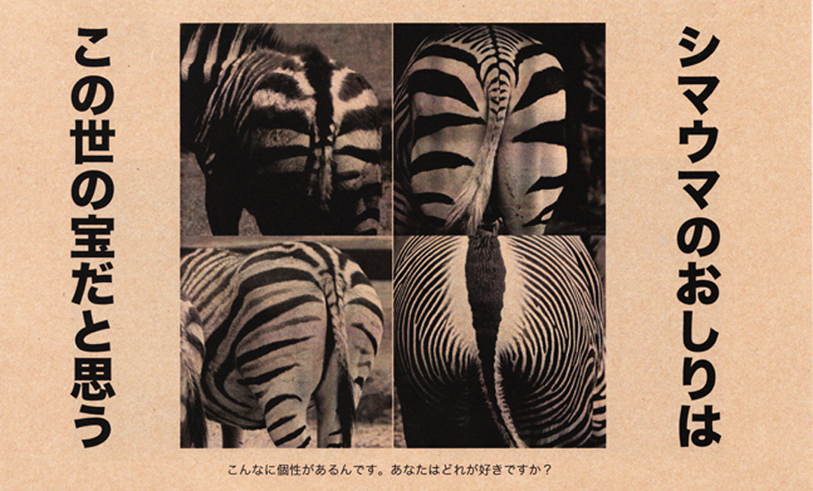 本当はおもしろいアニマル柄