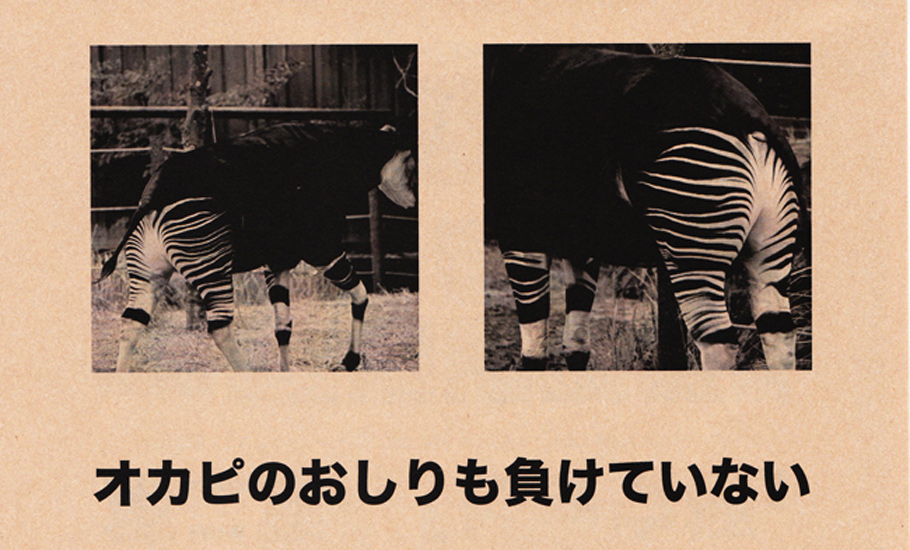 本当はおもしろいアニマル柄